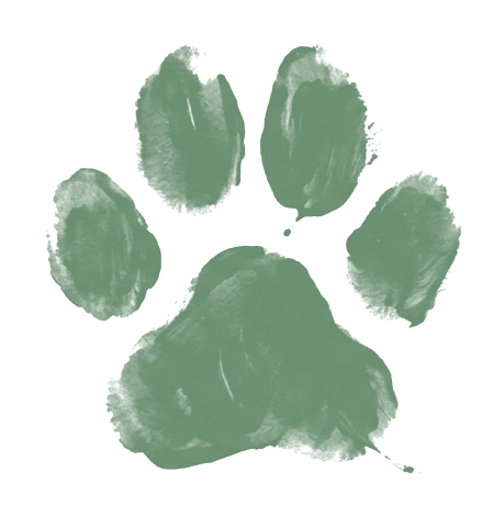 Pawkraft Co.